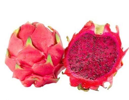 Red Dragon Fruit Harvest